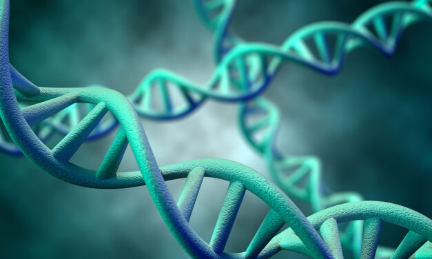 Releasing the Genetic Genie: How Risky?