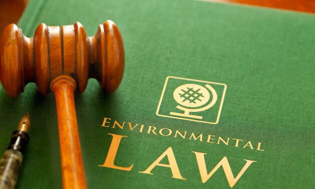 The Real Environmental Crisis: Environmental Law